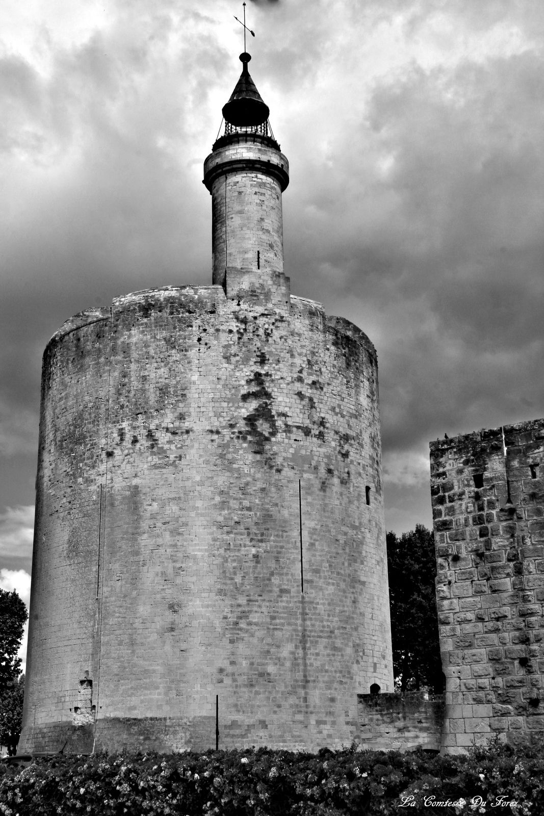 Ville fortifiée d'Aigues-Mortes (30220 Gard)