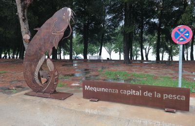 Méquinenza capital de la pesca 🇪🇦