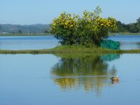 Mandalay - Hsipaw