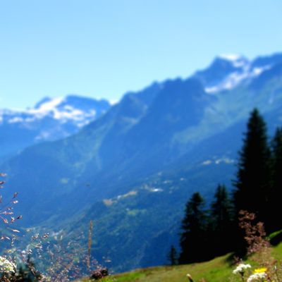L’été dans le Parc de la Vanoise