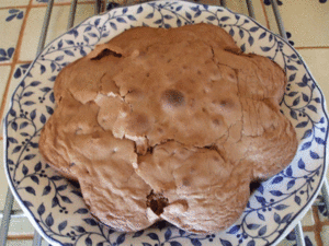 Un gâteau au chocolat tout simple