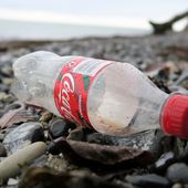 Coca-Cola, Pepsi et Nestlé sont les plus gros pollueurs de plastique au monde