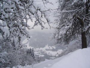 Randonnées en raquettes dans le Chablais, à Abondance et Vacheresse