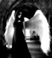 Luz A.R.