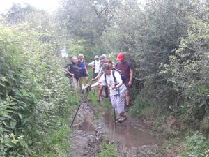 DIMANCHE 3 JUIN 2018 - PIQUE-NIQUE AU BORD DE L'ETANG DE SAINT-MICHEL-SUR-RHONE 