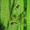 La saison des pluies