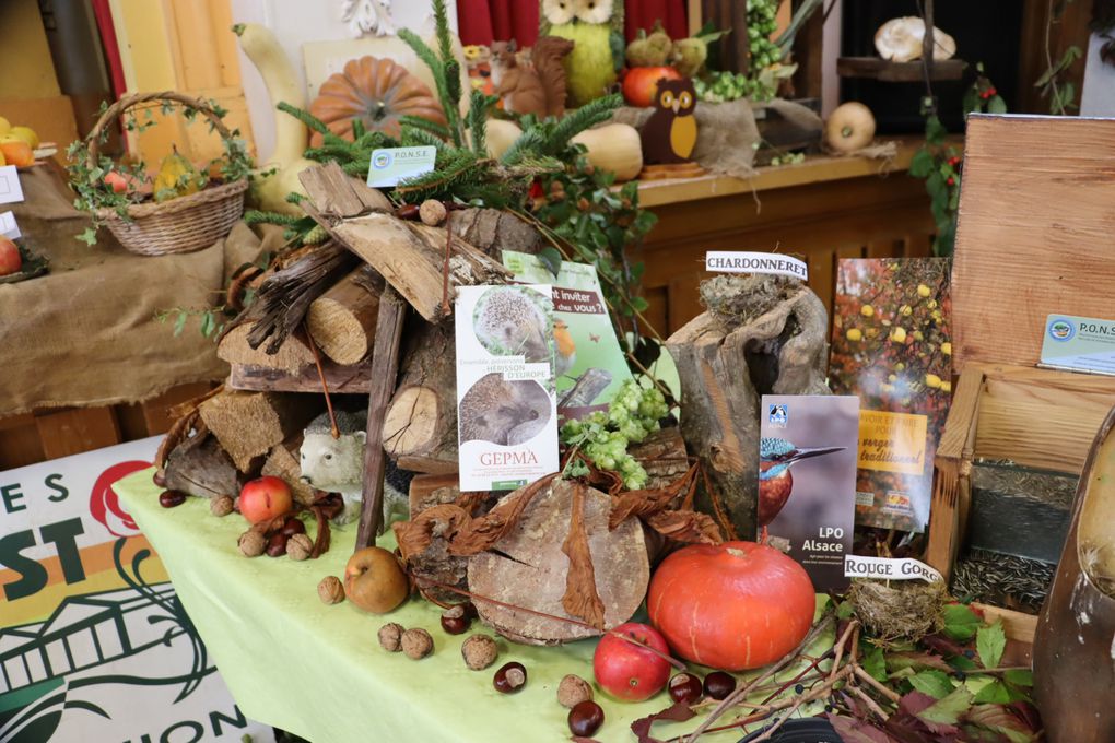 Expositions  fruits et légumes au village