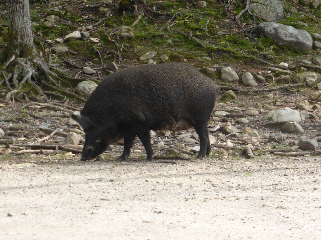 J13 - Le Parc Omega