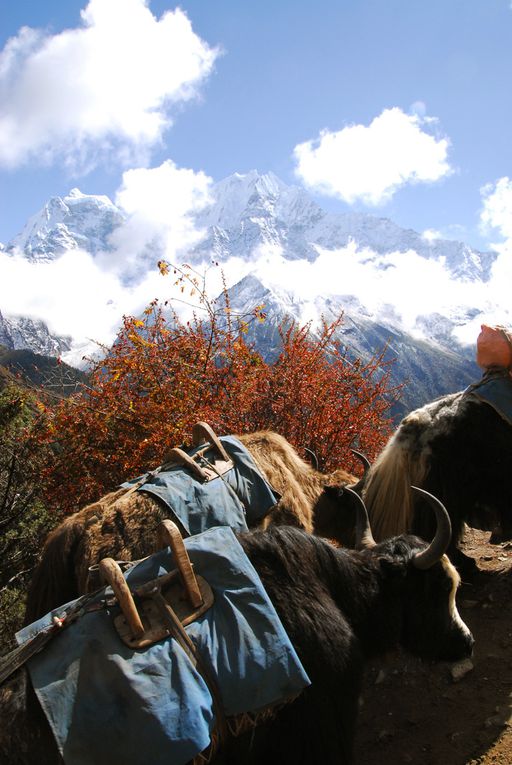 Album - Nepal-2010