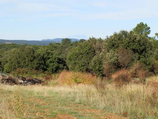 Album - 2013-10-06-La-Roque-sur-Ceze