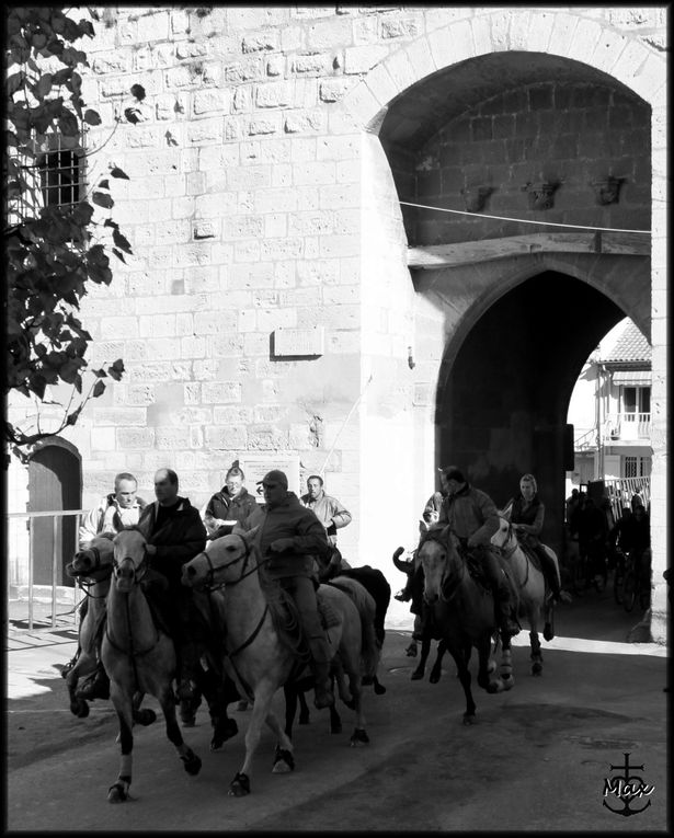 Album - Aigues-Mortes-2009