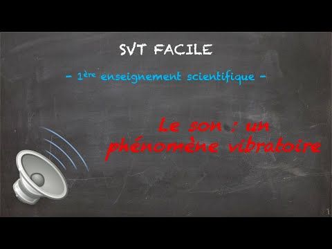 Le son : un phénomène vibratoire