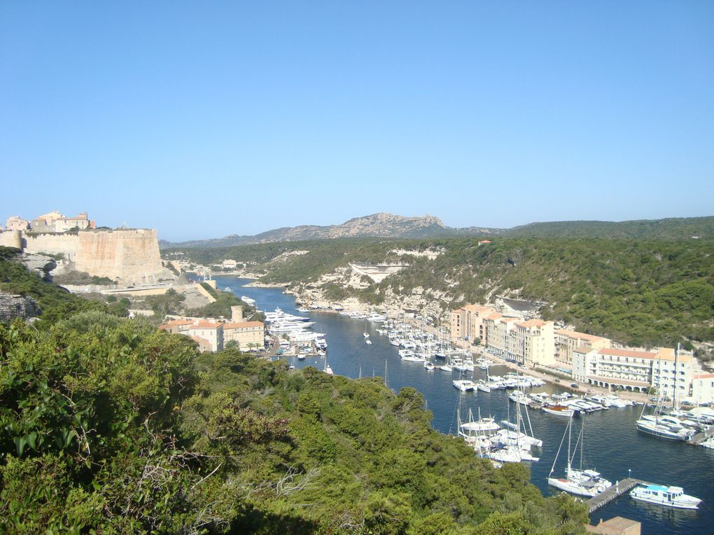 Album - Corsica