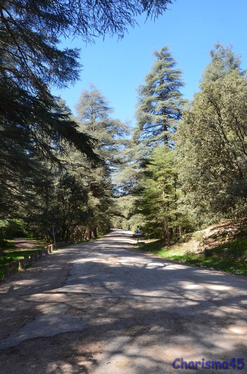 Sur la route de Meknès, Azrou, Ifrane (Maroc en camping-car)