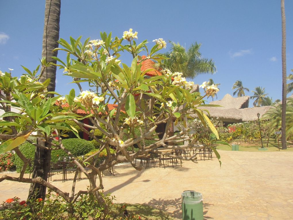 Séjour à Punta Cana au Tropical Princess du 16 au 23 février 2013.