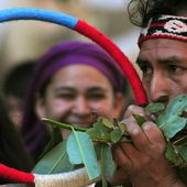 Les gens de la terre, le peuple mapuche au Chili