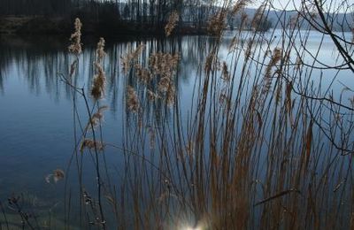 ELOGE AU CALME ET A LA PARESSE...