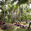 Assis sous les cocotiers, on écoute