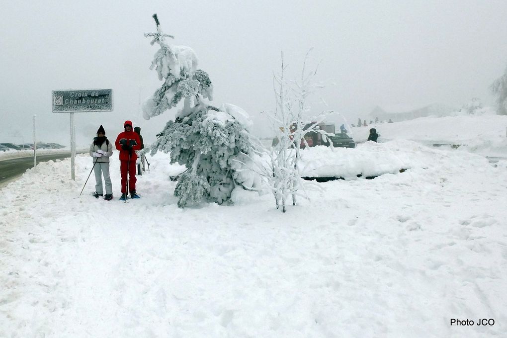 Retrouvez quelques images qui ont trouvées leur place dans les semaines