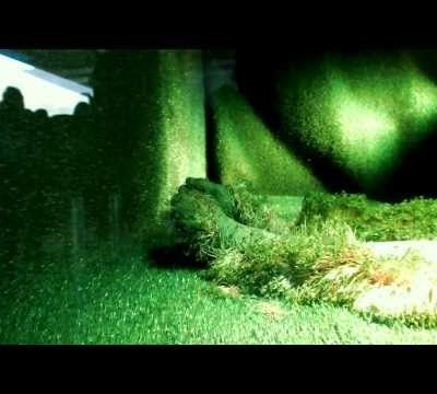 LEGS, installation vivante chez KING KONG