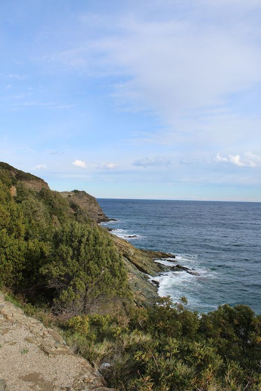 la route du cap corse