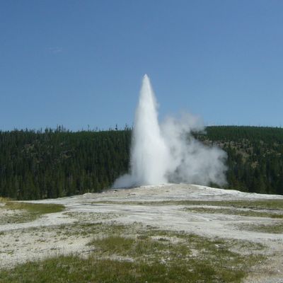 YELLOWSTONE