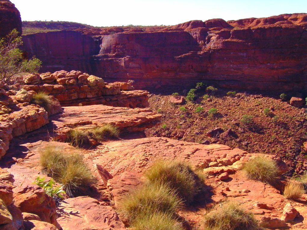 Album - The-Ultimate-Oz-Experience-2--Outback--The-Olgas---Ayers-Rock---Kings Canyon