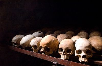 Racismes : les mots et les maux