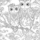 4 Owl Coloring Pages