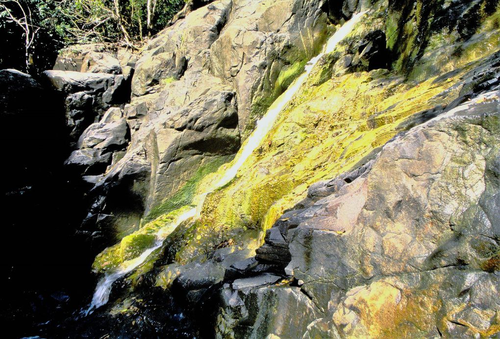 Il est possible d'emprunter sans guide l'un des nombreux sentiers du sud de Basse-Terre, d'où les panaramas sont superbes. Les villes sont loin, les touristes préférent en général rester sur les côtes de Grande-Terre. Basse-Terre reste de loin plus sauvage, particulièrement au sud.