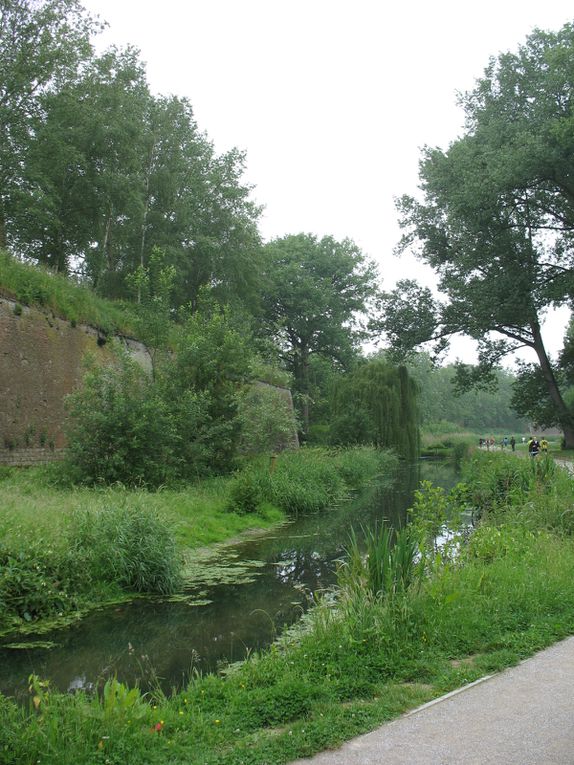 initiatives et réalisations en matière d'écologie urbaine