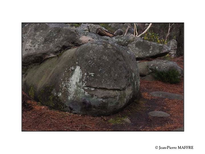 Quelle belle découverte que cette profusion de rochers aux formes insolites qui peuplent l'inoubliable forêt de Fontainebleau.