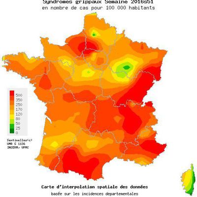 MAJ = FRANCE : La grippe tue 13 résidents d'une maison de retraite à Lyon