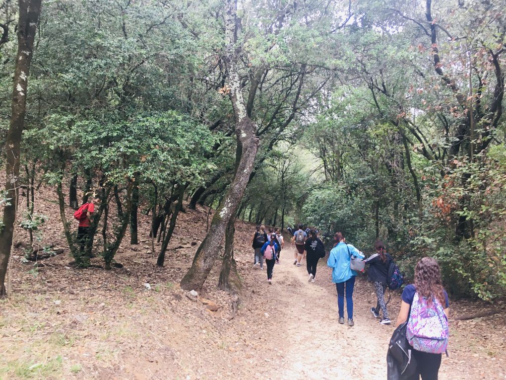 Sortie d'intégration au Pont du Gard