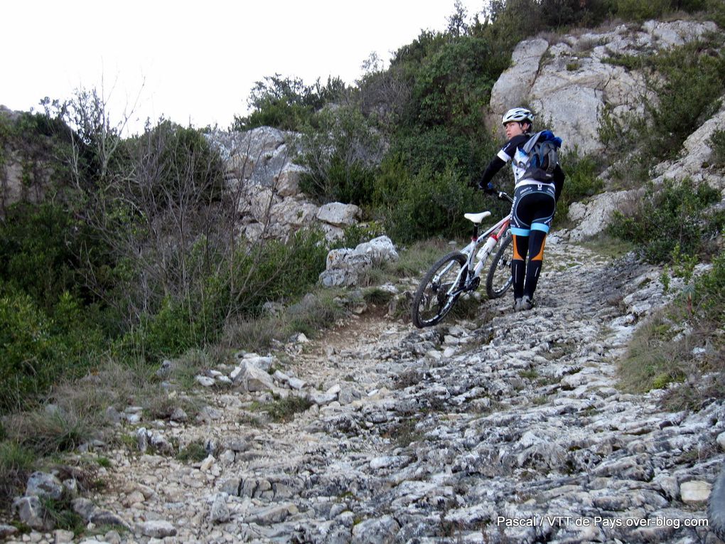 Album - Sorties Cévennes Vélo Nature en 2012