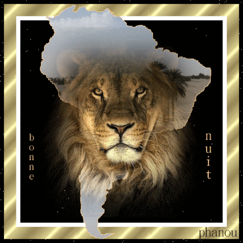 Gifs Lions Le Monde Des Gifs