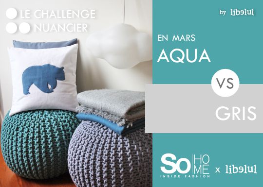 Challenge nuancier: 03 AQUA et GRIS