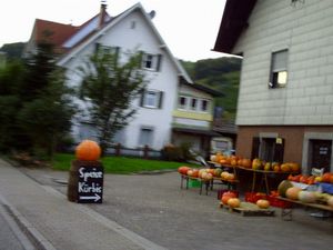 LA SAISON DES CITROUILLES - HALLOWEEN EST POUR BIENTÔT