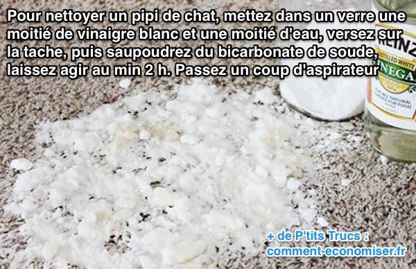 Comment nettoyer pipi de chat sur tapis