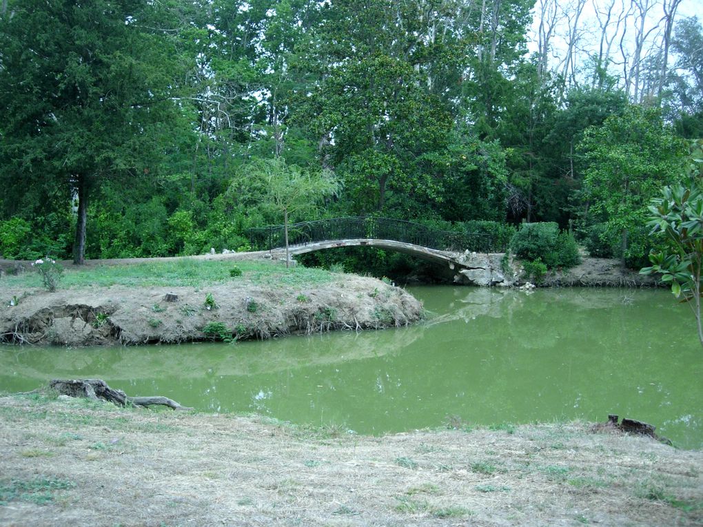 Garde-corps de pont de style classique avec décor de volutes forgées. Finition fer brut verni.