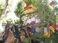 Saint Rémy de Provence, Carreto Ramado 2018