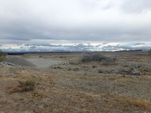 Geraldine-Tekapo, la pampa Néo-zélandaise