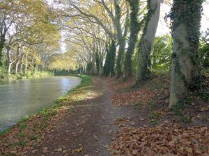 Ballâde dans les feuilles