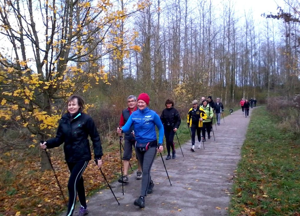 Photos de mardi &amp; dimanche au bois des Forts