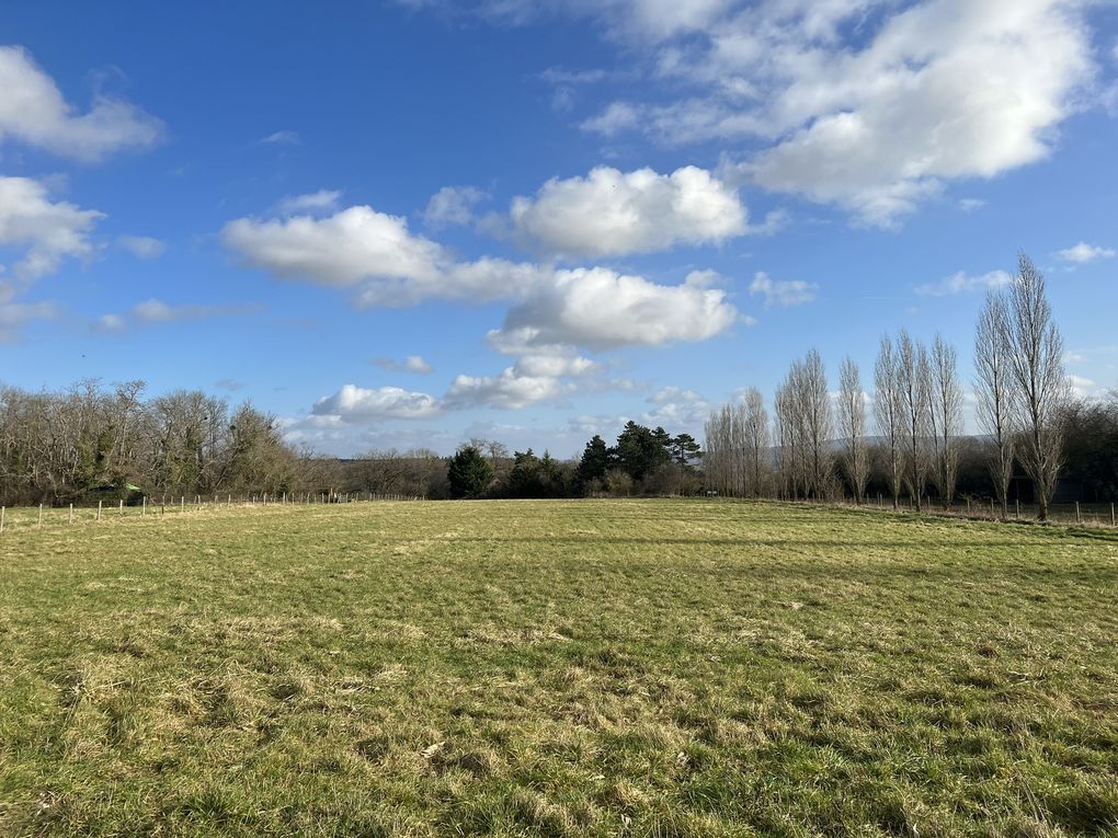 Randonnée de Persan-Beaumont à Presles - 21,7 km.