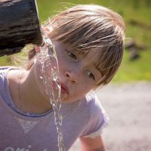 Les chiffres de l'EPA sur les PFAS contestés scientifiquement