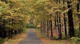 #Red Muscadine Producers New York Vineyards