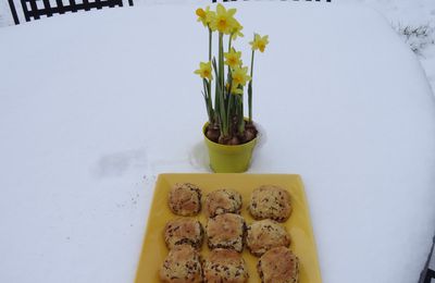 SCONES CHOCOLAT ORANGE