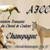 Association du cheval de couleur champagne