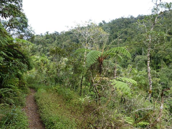 BANAUE- 23/27 mai